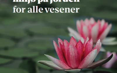 SEE-FAB: Sjekkliste for å gjøre buddhistsenter mer bærekraftige